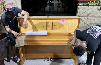 Đàn Piano cơ OTTOSTEIN (SN121K -Seri IQIO2424) là một trong những cây đàn piano độc đáo đáp ứng nhu cầu của những người yêu thích piano.
