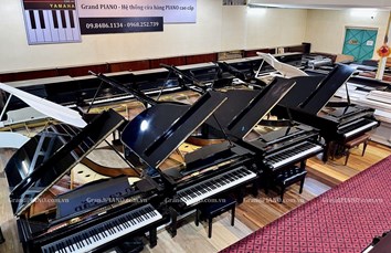 Đàn Piano tại Showroom cho Quý khách lựa chọn