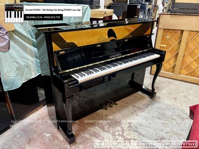 Đàn Piano cơ BERNHARD STEINER U118 (97071xx)