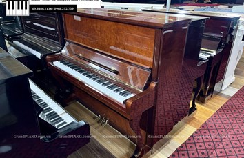 Đàn Piano cơ CARLSEILER 133D (555xx)