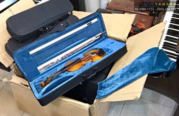 Violin V270