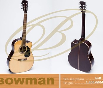 Đàn guitar - BOWMAN Acoustic A4D