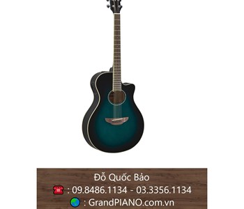 Đàn Guitar Yamaha Acoustic APX6000BB 
