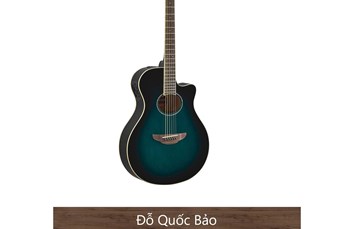 Đàn Guitar Yamaha Acoustic APX6000BB 