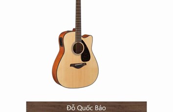 Đàn Guitar Yamaha Acoustic FGX800C 