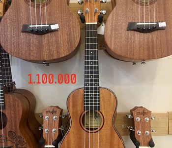 Đàn Ukulele Music size 23" - 1 - 1.100.000 