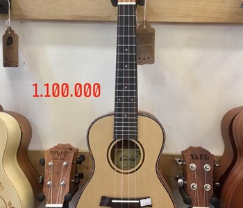 Đàn Ukulele Music size 23" 1.100.000 