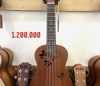 Đàn Ukulele Music size 23" 1.200.000 