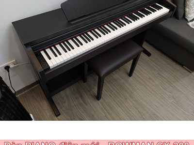 Digital PIANO - BOWMAN CX200 