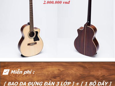 Đàn Guitar Acoustic A4