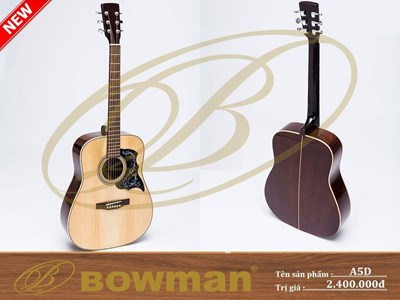 Đàn guitar Bowman Acoustic A5D (2023)