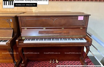 Đàn Piano cơ BERGMANN B121 (T00028253)