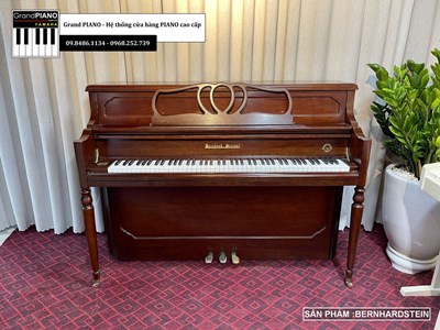 Đàn Piano cơ BERNHARD STEIN	SC203T	(ISCO07XX)
