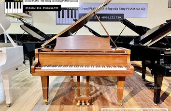 Đàn Piano Grand DIAPASON 183-G (108***)