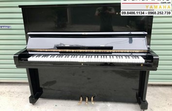 Đàn Piano cơ HORUGEL WG9B đen bóng