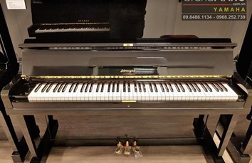 Đàn Piano HORUGEL WG9B