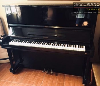 Đàn Piano HORUGEL WG9Bxxxx