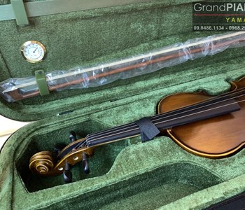 Violin V330