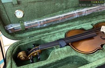 Violin V330