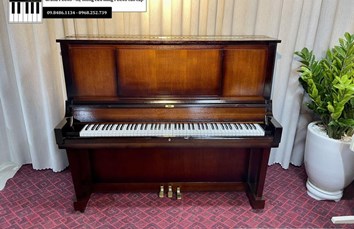 Đàn Piano cơ SAUJIN DW9 (0192XX)