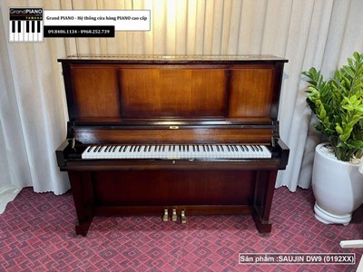 Đàn Piano cơ SAUJIN DW9 (0192XX)