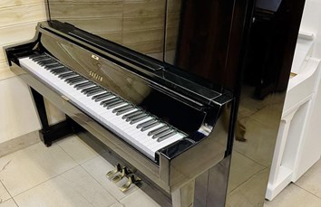Đàn Piano cơ SAUJIN DW9
