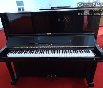Đàn Piano HORUGEL WG9Bx