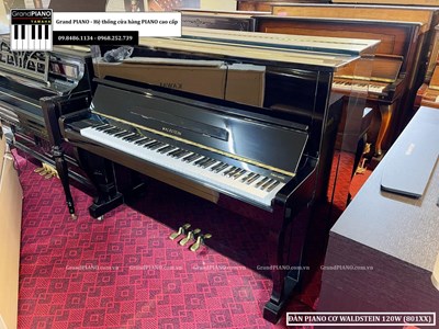 Đàn Piano cơ WALDSTEIN 120W (801XX) 