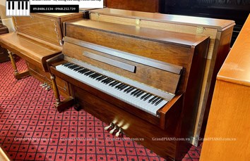 Đàn Piano cơ WEBER YW112 (T001811xx)