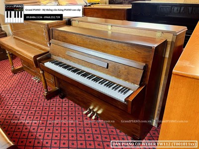 Đàn Piano cơ WEBER YW112 (T001811xx)
