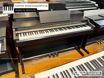Đàn Piano điện YAMAHA YDP162R