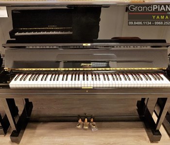 Đàn Piano HORUGEL WG9B