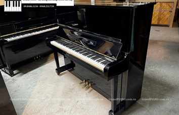 Đàn Piano cơ APOLLO A8 (810XX)