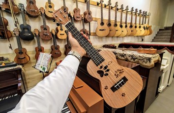 Mua đàn ukulele ở đâu Hà Nội