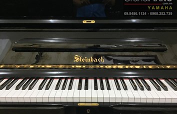 Đàn Piano STEINBACH SELECT M