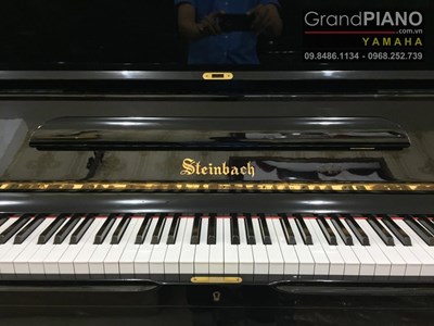 Đàn Piano STEINBACH SELECT M