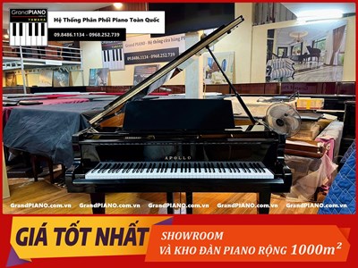 Đàn Piano cơ APOLLO A25 153707