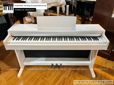 Đàn Piano điện YAMAHA YDP164