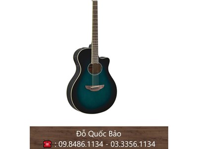 Đàn Guitar Yamaha Acoustic APX6000VS 