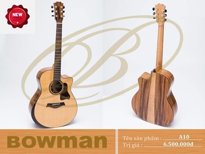 Đàn Guitar Bowman Acoustic A10 (2024)