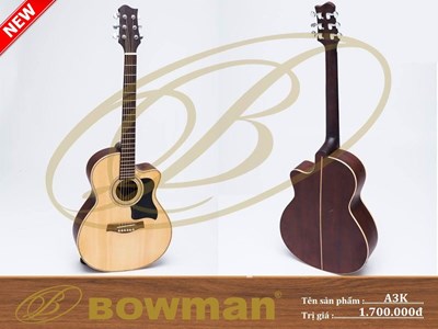 Đàn guitar Bowman Acoustic A3K (2023)