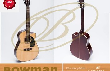 Đàn Guitar Bowman Acoustic A5 (2024)