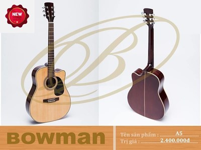 Đàn Guitar Bowman Acoustic A5 (2024)