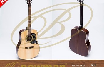 Đàn guitar Bowman Acoustic A5D (2023)