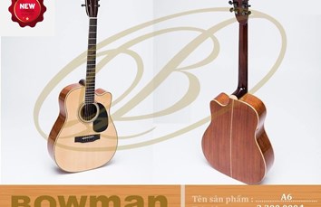 Đàn Guitar Bowman Acoustic A6 (2024)