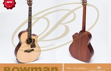 Đàn Guitar Bowman Acoustic A8 (2024)