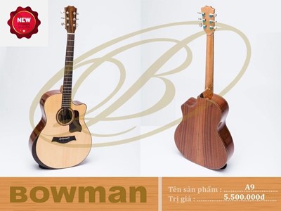 Đàn Guitar Bowman Acoustic A9 (2024)