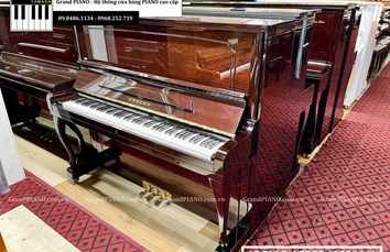 Đàn Piano cơ APOLLO AS300 (1601XX)
