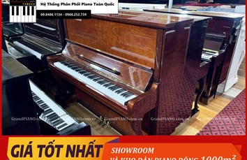 Đàn Piano cơ CARLSEILER 133D [ CẬP NHẬT ]