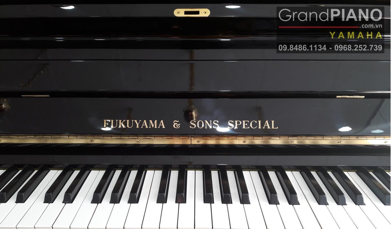 Đàn Piano FUKUYAMA & SONS SPECIAL